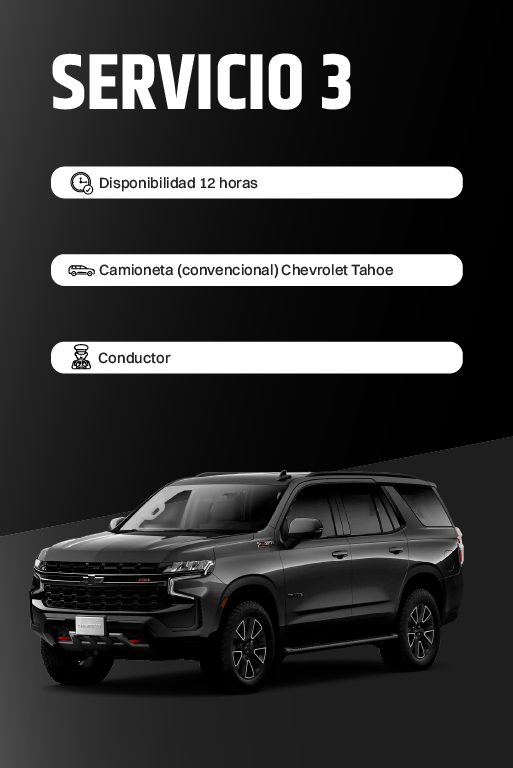 Servicio 3